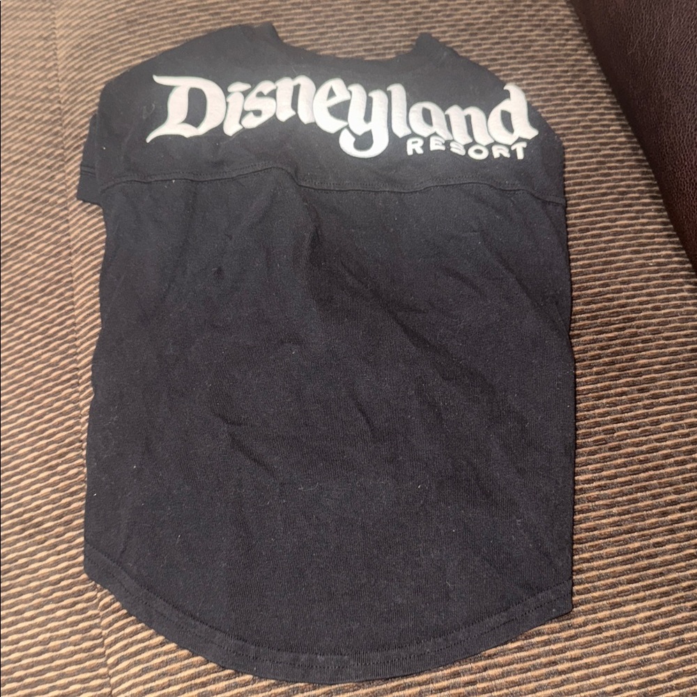 Disney Dog Spirit Jersey large
